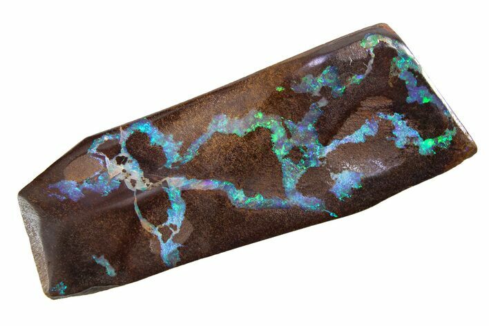 Colorful Polished Boulder Opal Specimen - Queensland, Australia #381732